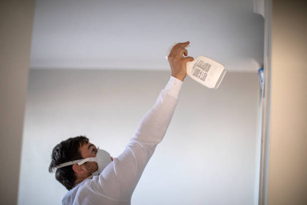Best Residential Mold Removal  in Port St Lucie, FL